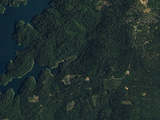 Aerial image of Strawberry