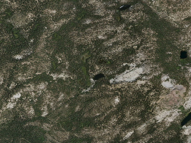 Aerial image of Strawberry Lake Camp 1