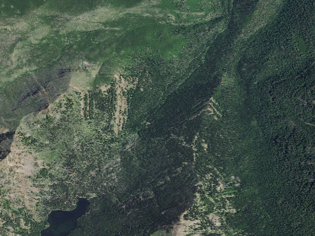 Aerial image of Strawberry