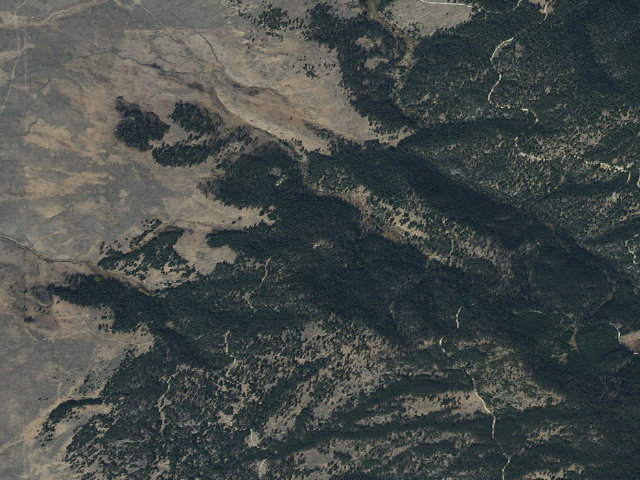 Aerial image of Stumps