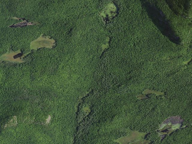 Aerial image of SUCKER BROOK PRIMITIVE TENT SITE (Pharaoh Lake Wilderness)