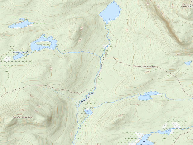 USGS topographic map of SUCKER BROOK PRIMITIVE TENT SITE (Pharaoh Lake Wilderness)