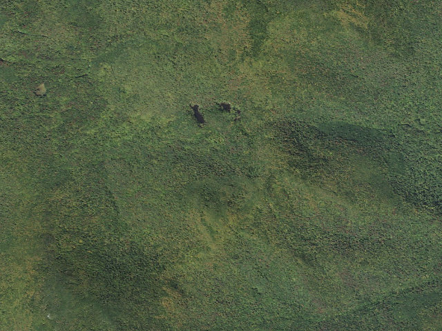 Aerial image of Sucker Brook Shelter