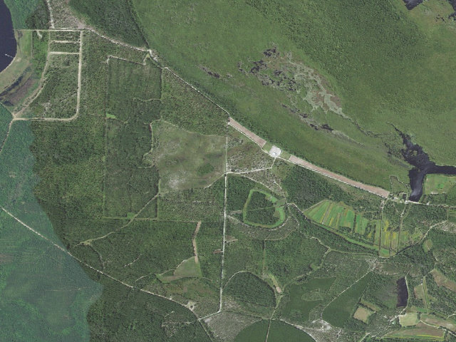 Aerial image of Suggs Mill Pond Game Land camping area #1