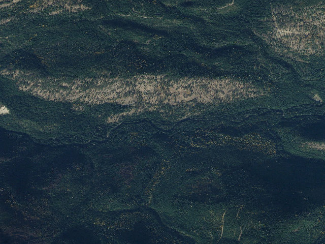 Aerial image of Sullivan Creek Campground 10
