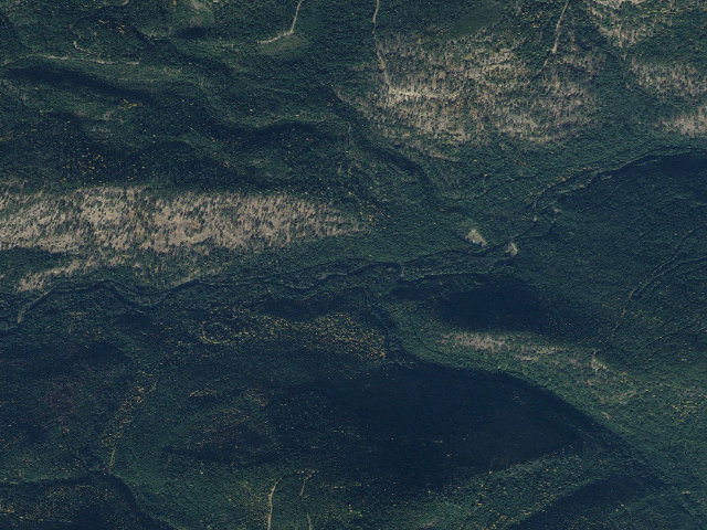 Aerial image of Sullivan Creek Campground 12
