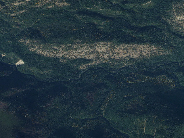 Aerial image of Sullivan Creek Campground 9