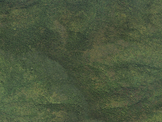 Aerial image of Sunrise Shelter