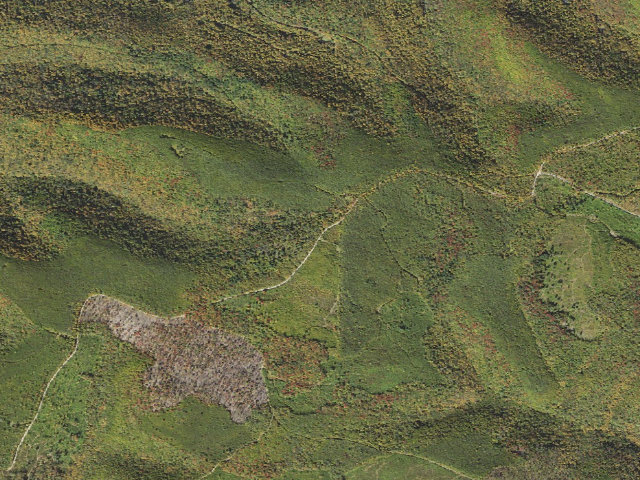 Aerial image of Susquehannock State Forest roadside campsite 002 Beech Bum