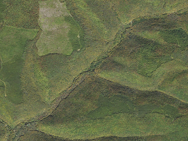 Aerial image of Susquehannock State Forest roadside campsite 004 Butternut Hollow