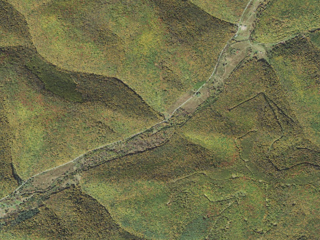 Aerial image of Susquehannock State Forest roadside campsite 005 Camp Run