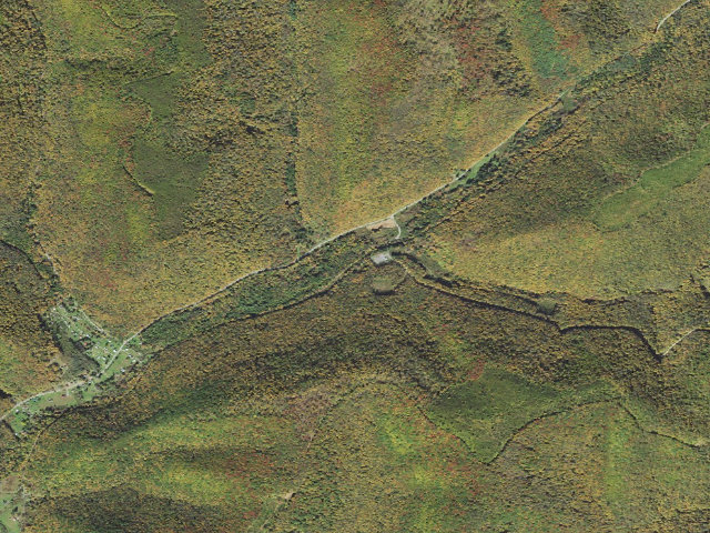 Aerial image of Susquehannock State Forest roadside campsite 006 Chick Coop