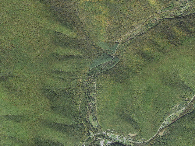 Aerial image of Susquehannock State Forest roadside campsite 009 Cross Fork Creek RR Bed