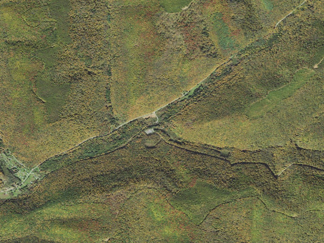 Aerial image of Susquehannock State Forest roadside campsite 010 East Fork and Horton Run