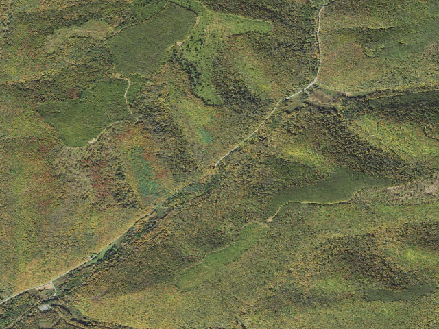 Aerial image of Susquehannock State Forest roadside campsite 011 East Fork Rd