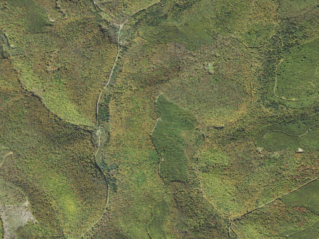 Aerial image of Susquehannock State Forest roadside campsite 012 Eleven Mile Landing A