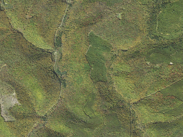 Aerial image of Susquehannock State Forest roadside campsite 013 Eleven Mile Landing B