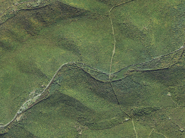Aerial image of Susquehannock State Forest roadside campsite 015 Head Gate