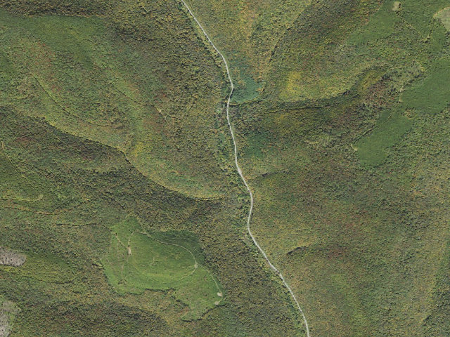 Aerial image of Susquehannock State Forest roadside campsite 016 Hungry Hollow (A)