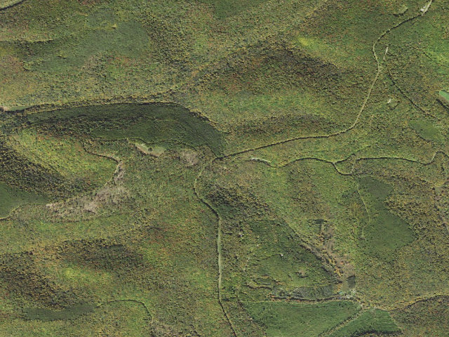 Aerial image of Susquehannock State Forest roadside campsite 017 Junction RR Grade