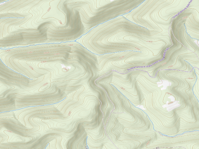 USGS topographic map of Susquehannock State Forest roadside campsite 017 Junction RR Grade