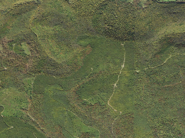 Aerial image of Susquehannock State Forest roadside campsite 019 Packman