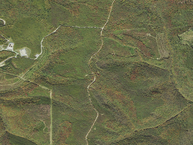 Aerial image of Susquehannock State Forest roadside campsite 020 Palmatier