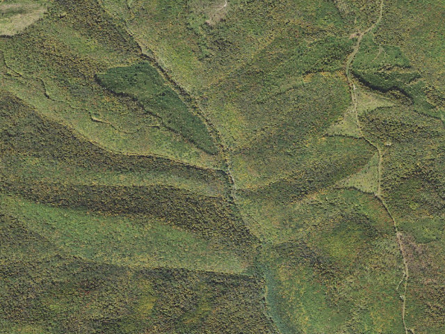 Aerial image of Susquehannock State Forest roadside campsite 024 Red Ridge