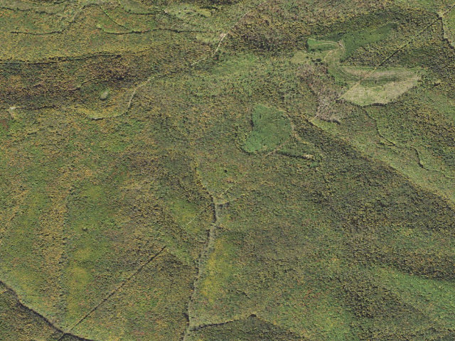 Aerial image of Susquehannock State Forest roadside campsite 025 Red Ridge Landing