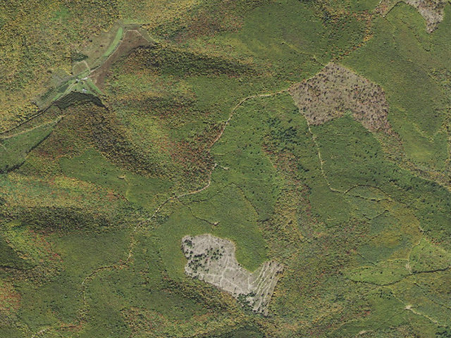Aerial image of Susquehannock State Forest roadside campsite 027 Rock Ridge Landing A