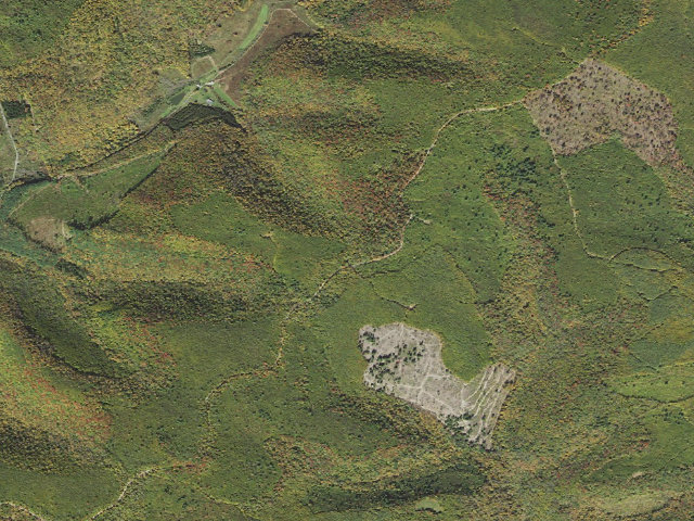 Aerial image of Susquehannock State Forest roadside campsite 028 Rock Ridge Landing B