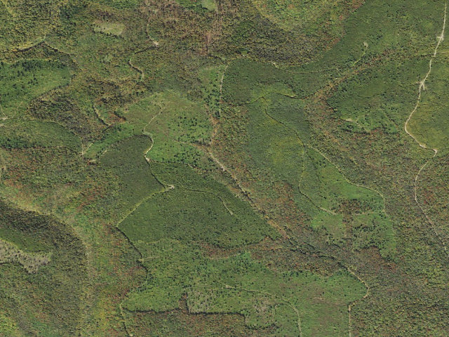 Aerial image of Susquehannock State Forest roadside campsite 029 Rock Run ATV