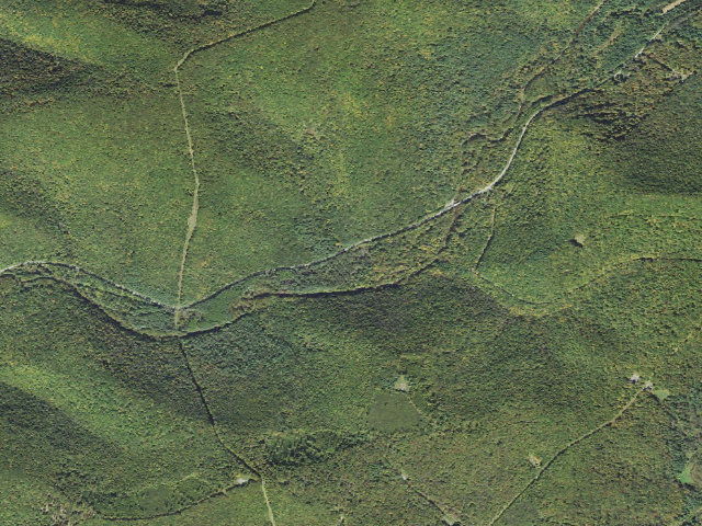 Aerial image of Susquehannock State Forest roadside campsite 030 Rte 144 Pines