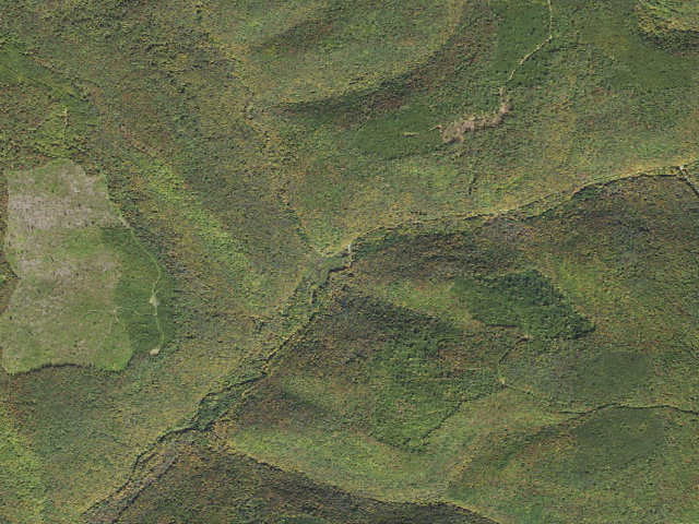 Aerial image of Susquehannock State Forest roadside campsite 031 Sliders