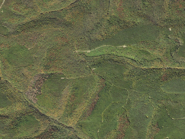 Aerial image of Susquehannock State Forest roadside campsite 032 Sunken Branch ATV A