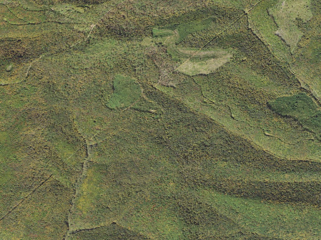 Aerial image of Susquehannock State Forest roadside campsite 033 Twin Sisters
