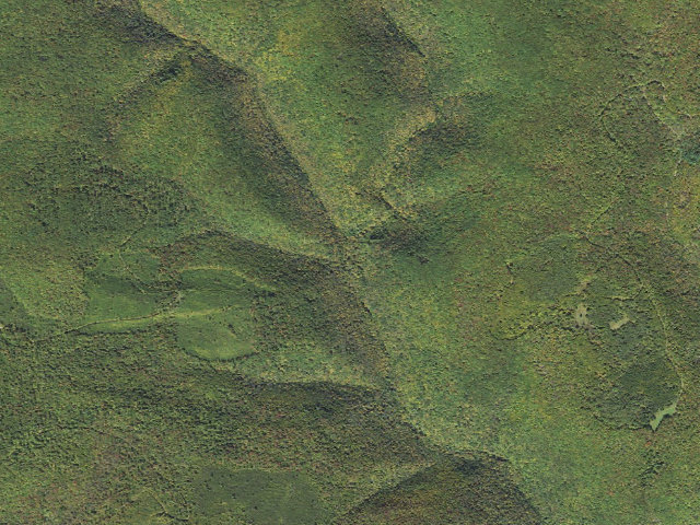 Aerial image of Susquehannock State Forest roadside campsite 035 Big Springs