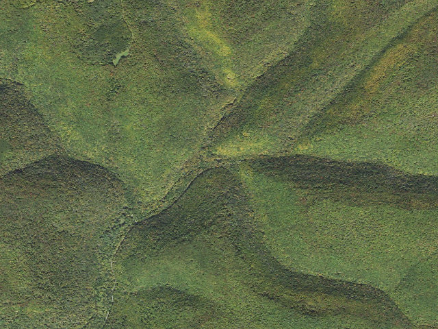 Aerial image of Susquehannock State Forest roadside campsite 037 Young Womens