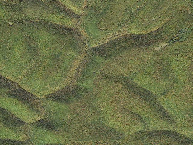 Aerial image of Susquehannock State Forest roadside campsite 039 Lookout