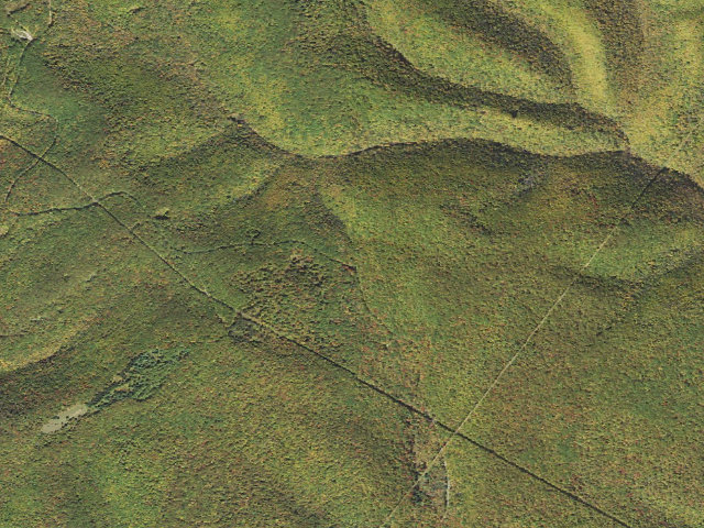 Aerial image of Susquehannock State Forest roadside campsite 040 Bell Branch