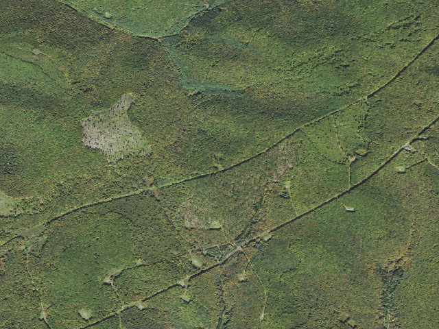 Aerial image of Susquehannock State Forest roadside campsite 041 Spring Brook