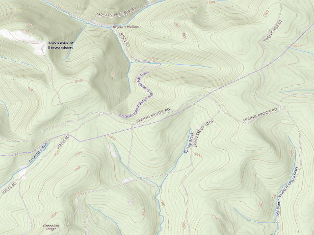 USGS topographic map of Susquehannock State Forest roadside campsite 041 Spring Brook