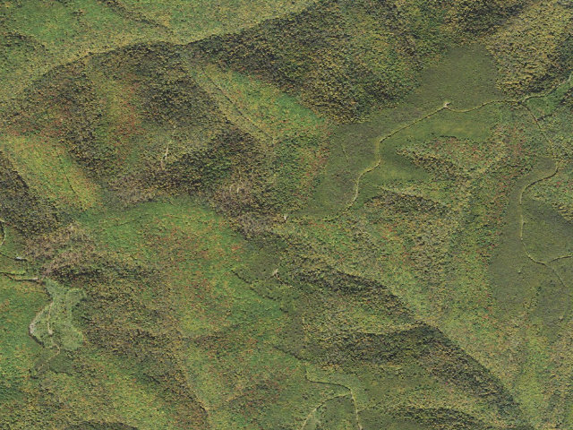 Aerial image of Susquehannock State Forest roadside campsite 042 Double Gates