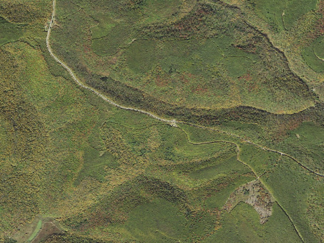 Aerial image of Susquehannock State Forest roadside campsite 043 Block Valve B