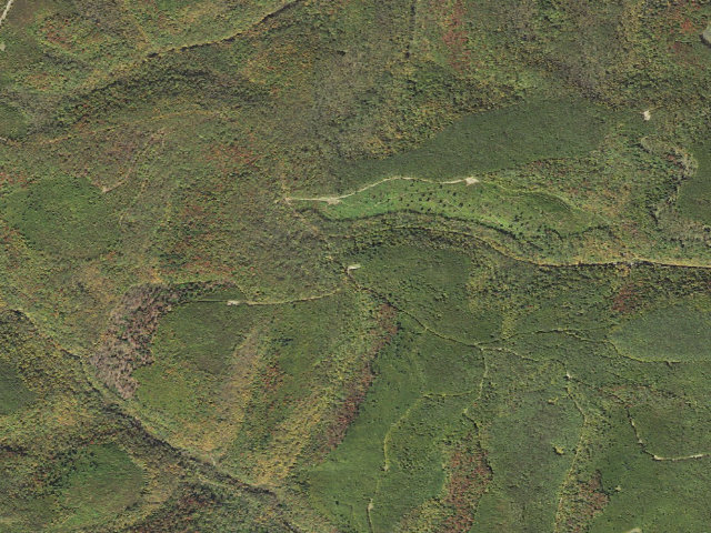 Aerial image of Susquehannock State Forest roadside campsite 045 Sunken Branch ATV B