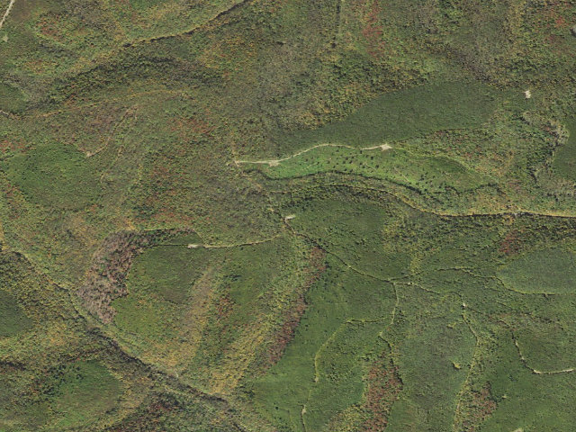 Aerial image of Susquehannock State Forest roadside campsite 046 Sunken Branch ATV C