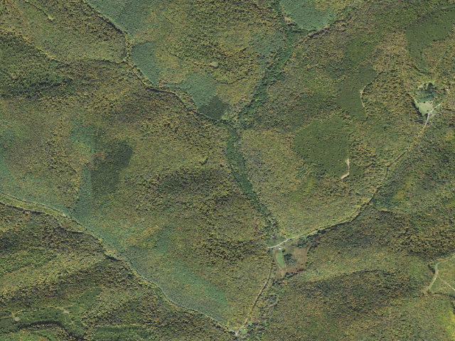 Aerial image of Susquehannock State Forest roadside campsite 047 Fishing Hole