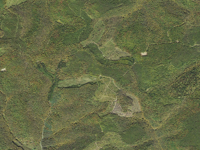 Aerial image of Susquehannock State Forest roadside campsite 048 Thompson Hollow