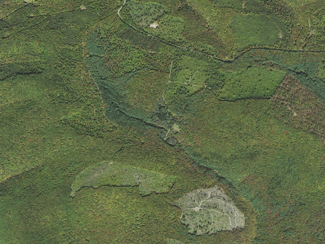 Aerial image of Susquehannock State Forest roadside campsite Dyer 007