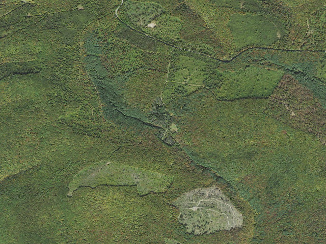 Aerial image of Susquehannock State Forest roadside campsite Dyer 008